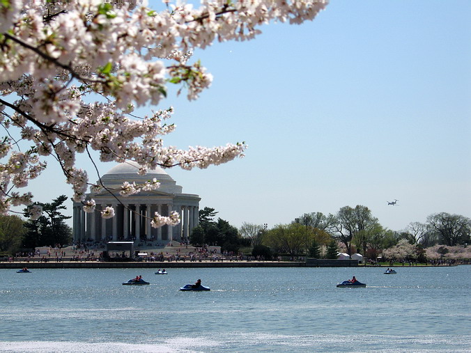 Cherry Blossom Mania – Beauty & Spirit •  Washington, DC