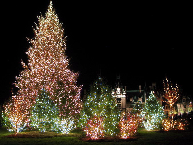  …
 . ,   •
Fall, Christmas. Biltmore Estate. Asheville, North Carolina