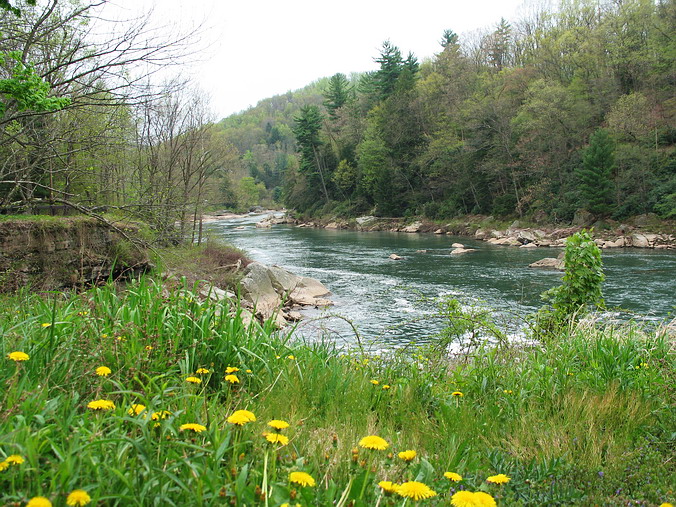 Youghiogheny River • Ohiopyle, Pennsylvania